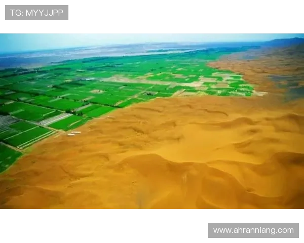 沙丘：5大势力角逐，谁才是最后的赢家？